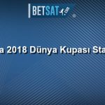 Rusya 2018 Dünya Kupası Statları